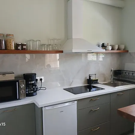 Sykea Sgs * 西洛卡特伦